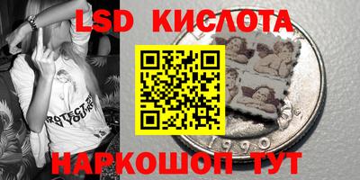 хмурый Сланцы