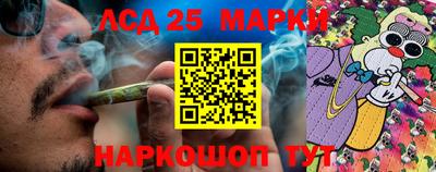хмурый Сланцы