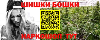 хмурый Сланцы